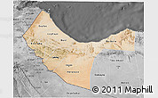 Satellite 3D Map of W. Galbeed, desaturated