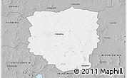 Gray 3D Map of PETRUSBURG
