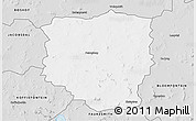 Silver Style 3D Map of PETRUSBURG