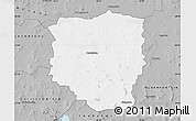 Gray Map of PETRUSBURG