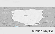 Gray Panoramic Map of PETRUSBURG