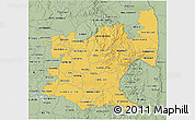 Savanna Style 3D Map of Mpumalanga