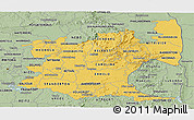 Savanna Style Panoramic Map of Mpumalanga