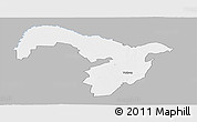 Gray Panoramic Map of VRYBURG, single color outside