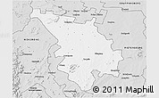 Silver Style 3D Map of SESHEGO
