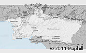 Gray 3D Map of CALEDON