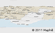 Classic Style Panoramic Map of SWELLENDAM