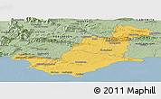 Savanna Style Panoramic Map of SWELLENDAM