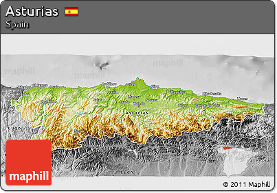 Physical 3D Map of Asturias, desaturated
