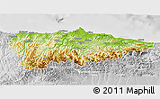 Physical 3D Map of Asturias, lighten, desaturated