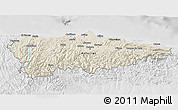 Shaded Relief 3D Map of Asturias, lighten, desaturated