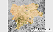 Satellite Map of Albacete, desaturated