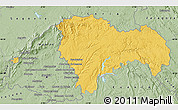 Savanna Style Map of Guadalajara