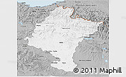 Gray 3D Map of Navarra