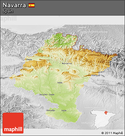 Physical 3D Map of Navarra, lighten, desaturated