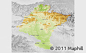 Physical 3D Map of Navarra, lighten, desaturated