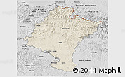 Shaded Relief 3D Map of Navarra, desaturated