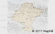 Shaded Relief 3D Map of Navarra, lighten, semi-desaturated