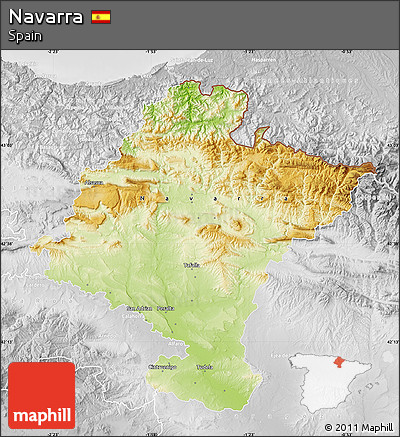 Physical Map of Navarra, lighten, desaturated