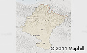 Shaded Relief Map of Navarra, lighten, semi-desaturated