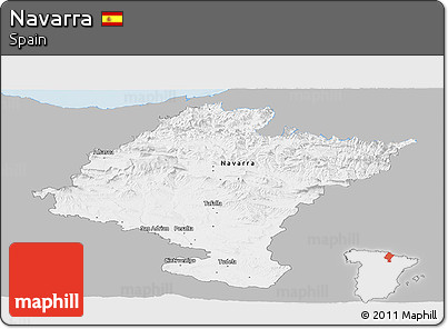 Gray Panoramic Map of Navarra, single color outside