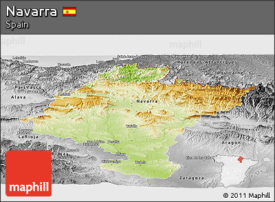 Physical Panoramic Map of Navarra, desaturated