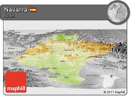 Physical Panoramic Map of Navarra, desaturated