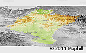 Physical Panoramic Map of Navarra, desaturated