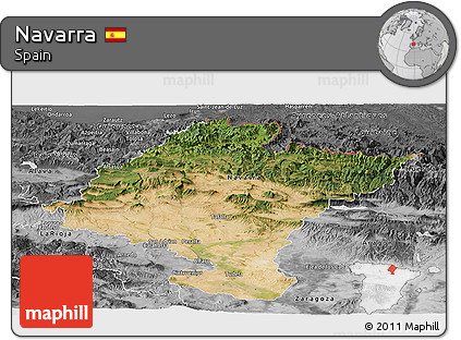 Satellite Panoramic Map of Navarra, desaturated