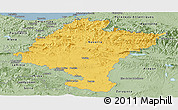 Savanna Style Panoramic Map of Navarra