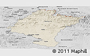 Shaded Relief Panoramic Map of Navarra, desaturated