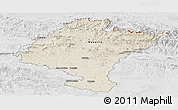 Shaded Relief Panoramic Map of Navarra, lighten, desaturated