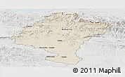 Shaded Relief Panoramic Map of Navarra, lighten, semi-desaturated