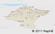 Shaded Relief Panoramic Map of Navarra, single color outside