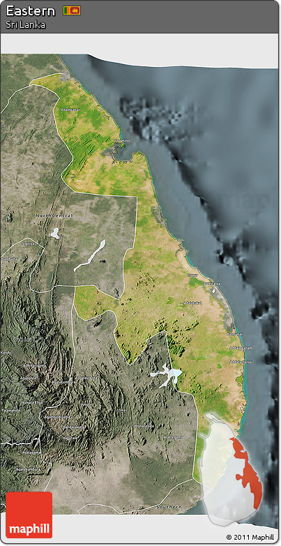 Satellite 3D Map of Eastern, semi-desaturated