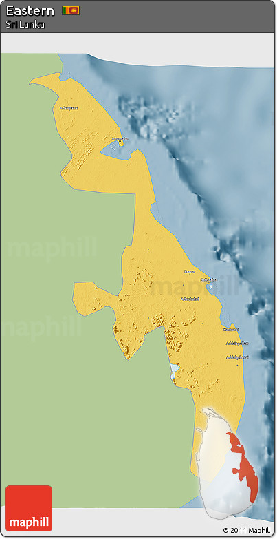 Savanna Style 3D Map of Eastern, single color outside