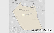 Shaded Relief 3D Map of Eddein, desaturated