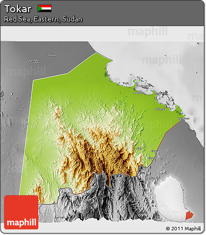 Physical 3D Map of Tokar, desaturated