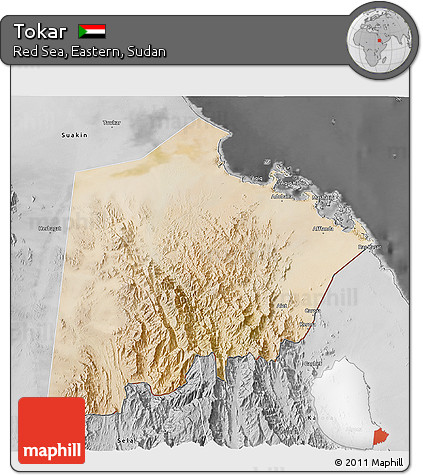 Satellite 3D Map of Tokar, desaturated