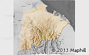 Satellite 3D Map of Tokar, desaturated