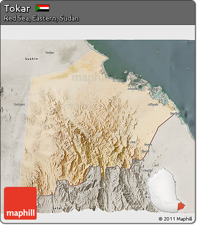 Satellite 3D Map of Tokar, semi-desaturated