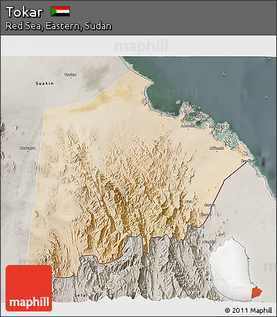 Satellite 3D Map of Tokar, semi-desaturated