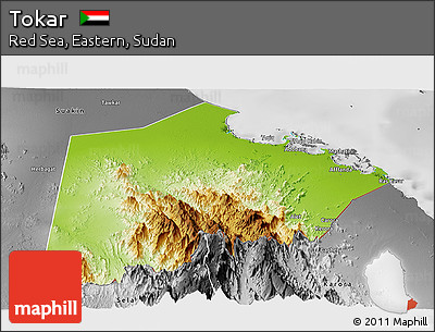 Physical Panoramic Map of Tokar, desaturated