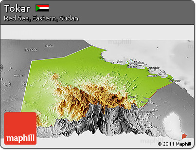 Physical Panoramic Map of Tokar, desaturated