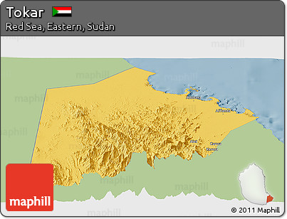 Savanna Style Panoramic Map of Tokar, single color outside