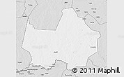 Silver Style 3D Map of Amadi