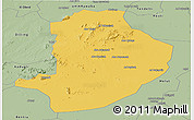 Savanna Style Panoramic Map of Rashad