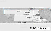 Gray Panoramic Map of Northern