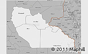 Gray 3D Map of Junglei
