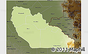 Physical 3D Map of Junglei, darken